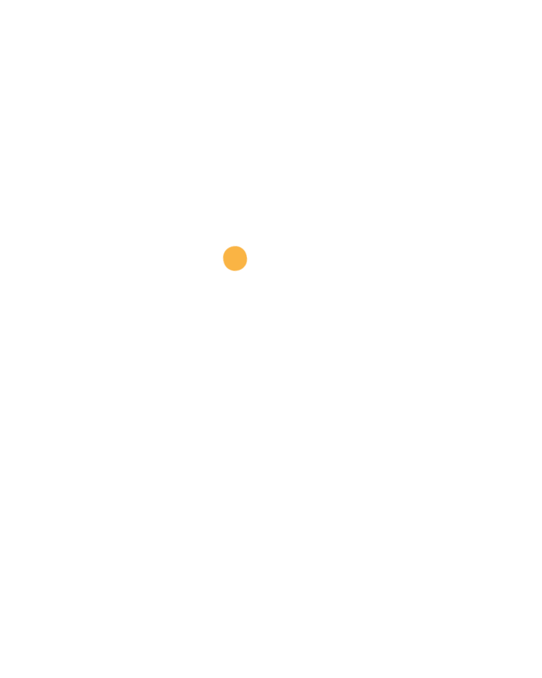 Agência Liz